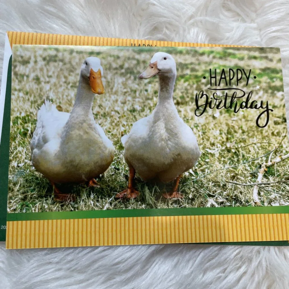 6 Assorted Greeting cards with matching print envelopes (PETA) Blank Inside